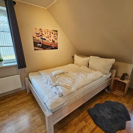 Haus-kranichduene *