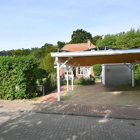 Haus-kranichduene